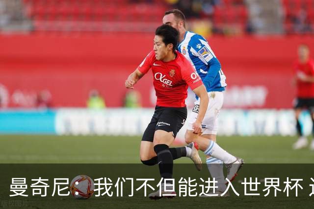 曼奇尼：我们不但能进入世界杯 还能赢得冠军