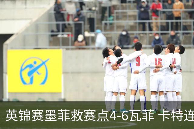 英锦赛墨菲救赛点4-6瓦菲 卡特连丢3局3-6塞尔特